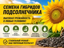 Семена гибридов подсолнечника: современное решение для высокой урожайности