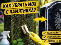 Как убрать мох с памятника: безопасные способы очистки