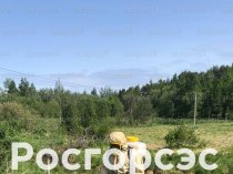Росгорсэс