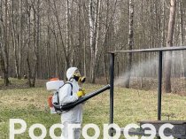 Росгорсэс