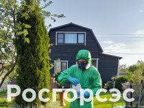 Росгорсэс