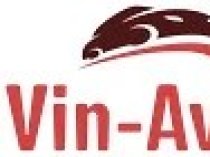 VIN-AVTO1