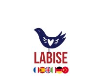Labise — онлайн-школа иностранных языков