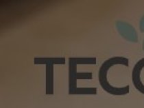 Tecona