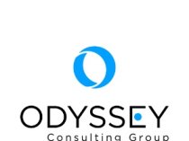 Odyssey Consulting Group
