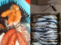 Рыба, мясо, колбаса и готовая продукция УкрРыба Одесса