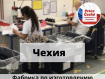 Работа в Чехии