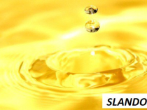 Узбекское натуральное абрикосовое масло