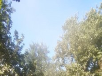 Уборка участков. Покос, вспашка. Работаем на совесть