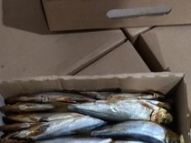 Рыба, мясо, колбаса и готовая продукция УкрРыба Одесса
