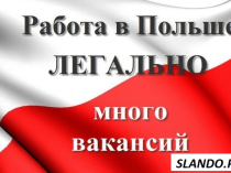 Много предложений работы в Польше. Польская агенция работы