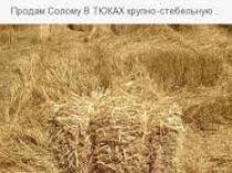 продам солому