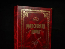 Родословная книга кожаная купить