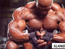 Огромный ассортимент анаболических стероидов в онлайн-магазине «Hulk Shop»
