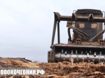 Расчистка участков от 1 га под «ключ»