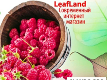 Купить саженцы почтой от магазина Leafland
