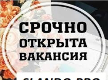 Администратор в ИП Татьяна Желукевич