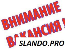 Подработка или  совмещение с основной работой.