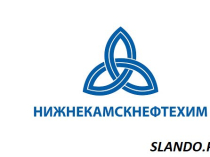 ПАО "Нижнекамскнефтехим" входит в топ мировых производителей нефтехимии.