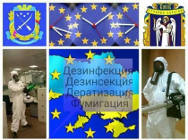 Уничтожение вредных насекомых, грызунов