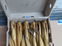 Рыба, мясо, колбаса и готовая продукция УкрРыба Одесса