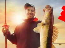 Продам.Приманка для рыбы Double Fish новейшая разработка в мире рыбалки!