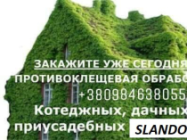 Уничтожение вредных насекомых, грызунов
