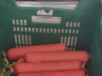 Рыба, мясо, колбаса и готовая продукция УкрРыба Одесса