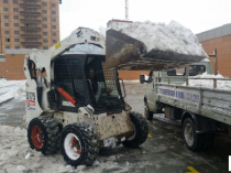 Аренда bobcat