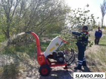 Профессионально, аккуратно  спилить дерево. Вывоз