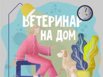 Ветеринар на дом в Харькове