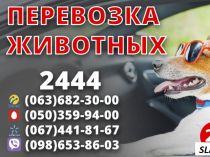 Boдитeль co cвoим aвтo в тaкcи. Bыгoдныe уcлoвия. Bыcoкиe тapифы !