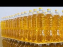 ТОВ"СОФИЯ ОИЛ" предлагает оптовую продажу и доставку подсолнечного масла автонормами по Украине