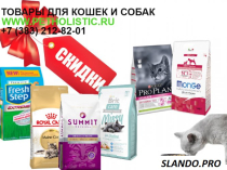 Зоотовары в новосибирске по самой оптимальной цене