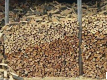 Отборные колотые дрова разных пород от 5м3 от Лесхоза с Полтавской области
