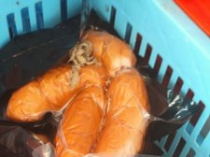 Рыба, мясо, колбаса и готовая продукция УкрРыба Одесса