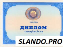 Диплом о высшем образовании, паспорт, ВНЖ, свидетельство о рождении, водительские права