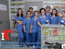 Вызов ветеринара на дом круглосуточно в Одессе.